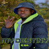 My Destiny - DJ Rich