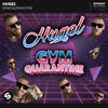 Gym Quarantine - Hugel