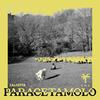 Paracetamolo (TY1 Remix|Explicit) - Calcutta&TY1