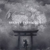 Secret Technique - Cursed Void