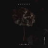 Voyager - Roudeep
