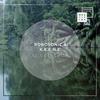 Fever (Sascha Braemer Remix) - Robosonic&K.E.E.N.E. 