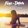 If You Only Knew (Radio Edit) - Fear of Dawn&Boswell