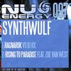 Ragnarok (Original Mix) - Synthwulf&RX