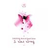 I Was Wrong - D3EPANK&Rivio&Daniel Javan