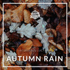 Autumn Rain - Probackmusic&Jacobsen&Lucy-Ann