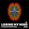 Losing My Mind (Dub Mix) - Alternate Perceptions