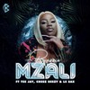 Mzali - Bassie&Tee Jay&Cheez Beezy&Le Sax