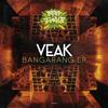 Tune Deh Bad - Veak