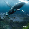 Afrika (Original Mix) - Milani&The Cabas