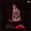 Maldita (Explicit) - DJ Defender&Busna Baby