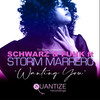 Wanting You (Original Mix) - Schwarz & Funk&Storm Marrero