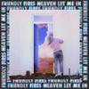 Heaven Let Me In - Friendly Fires