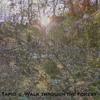 Walk through the Forest - Tapio