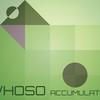 Whoso Accumulation - Shaa Anila