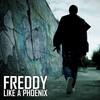 Like a Phoenix - Freddy