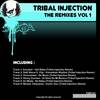 El Alma De Mi Musica (Tribal Injection Remix) - Henry Guzman