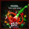 Too Late Now (Radio Edit) - Pansil