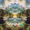 Reflectional Symmetry (Original Mix) - Nataraja3D