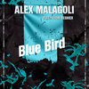 Blue Bird - Alex Malagoli&Guiom Regnier