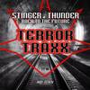 Back To The Future (Original Mix) - Stinger&Thunder