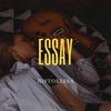 Historians (Explicit) - Essay