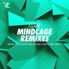 Mindcage (Matthias Adler & Henriettas Park Afterhour Remix) - Felidae