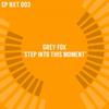 Step into This Moment - Grey Fox