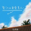 爱江山更爱美人 (remix: 小阿枫) (Remix) - DJ何友