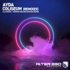 Coliseum (Rowan van Beckhoven Remix) - Ayda&Rowan Van Beckhoven