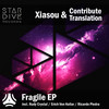 Fragile (Erich Von Kollar Remix) - Xiasou&Contribute Translation&Erich Von Kollar