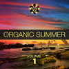 Back In Lebanon (Alex Raider Extended) - Maximo Gladius&Alex Raider