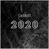 2020 - CaSaSi