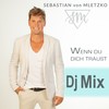 Wenn Du Dich traust (DJ Mix) - Sebastian von Mletzko