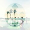 Summertide (Radio Edit) - Fool the Fox&Mic D