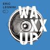 Night Birds - Eric Legnini&Mathieu Boogaerts