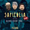 Sapiência Dub - Praiando&Bruno Faria&Mattenie&Ericon