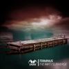 Submerge (Original Mix) - Terminus