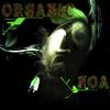 Organic (Original Mix) - Noa