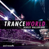 Chasing Love (Original Mix) - Maor Levi&Ashley Tomberlin