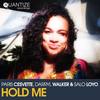 Hold Me (Instrumental Mix) - Paris Cesvette&Darryl Walker&Salo Loyo