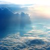 Flight - Electus
