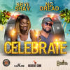 Celebrate - Seyi Shay&NC Dread