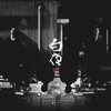 白夜 - 凯瑟喵