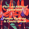 Flor De Chilco Colorada - Felipe Oyarzo&David Bass