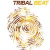 Relax Is Better (Extended Tribal Mix) - Rick Baker