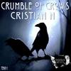There Is A Bad Crow In My Head (Original Mix) - Cristian N