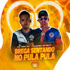 BREGA SENTANDO NO PULA PULA - Mc Nem Jm&DjJamesNoBeat