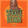 Sekkle Down - Jahmali&Addis Records