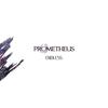 No More Words Left - Prometheus